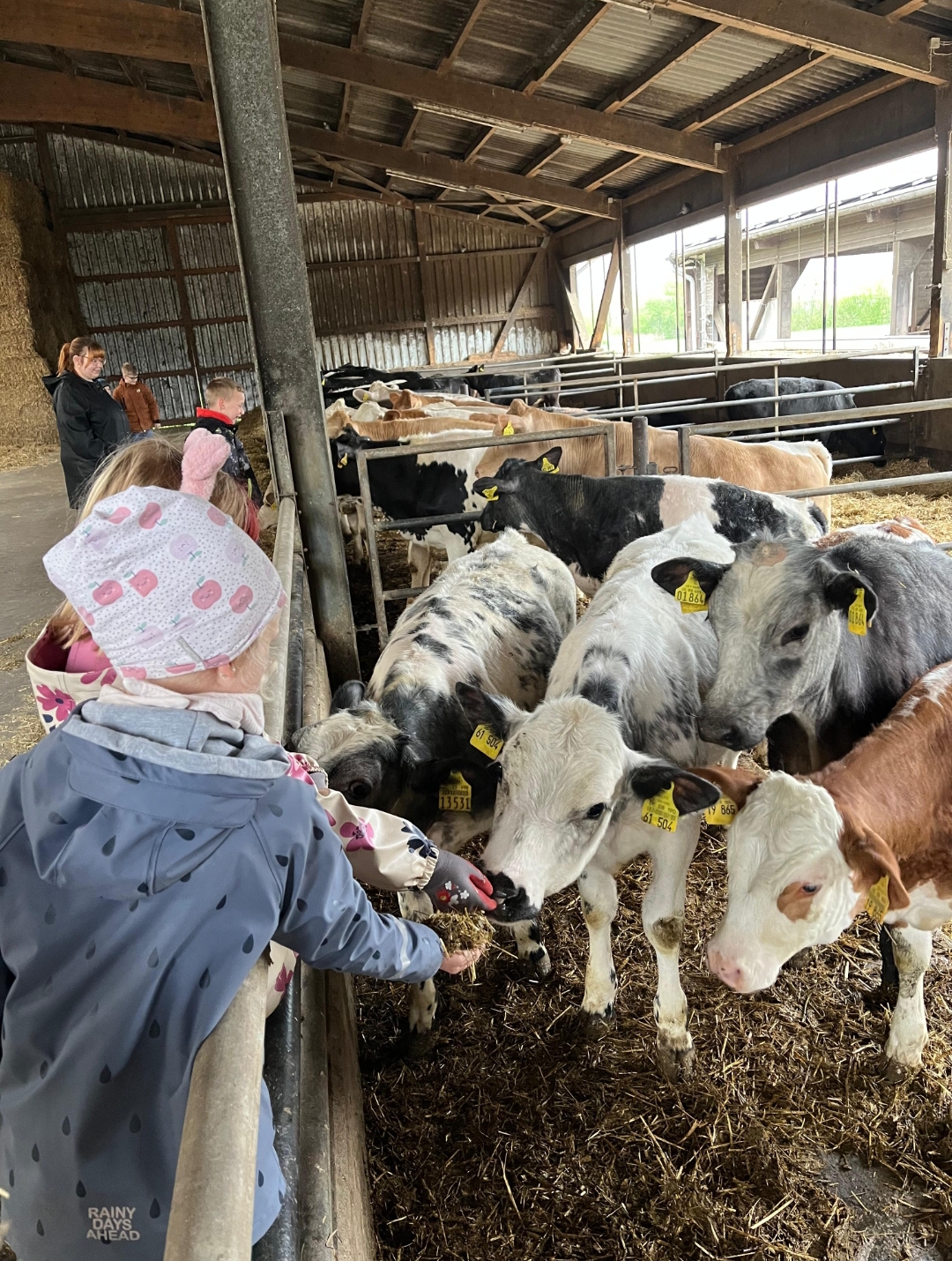 Wir besuchen den Hof Mackenstedt