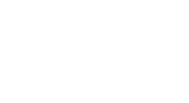 Icon Organisation